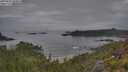./images/calvert/foggy-cove/20250625/foggy-cove20250625_064009M.jpg
