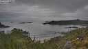 ./images/calvert/foggy-cove/20250625/foggy-cove20250625_065012M.jpg