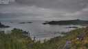 ./images/calvert/foggy-cove/20250625/foggy-cove20250625_065509M.jpg