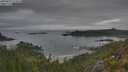 ./images/calvert/foggy-cove/20250625/foggy-cove20250625_071010M.jpg