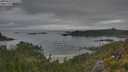 ./images/calvert/foggy-cove/20250625/foggy-cove20250625_071510M.jpg