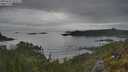 ./images/calvert/foggy-cove/20250625/foggy-cove20250625_073507M.jpg