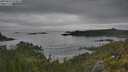 ./images/calvert/foggy-cove/20250625/foggy-cove20250625_074011M.jpg
