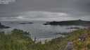 ./images/calvert/foggy-cove/20250625/foggy-cove20250625_075009M.jpg