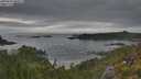 ./images/calvert/foggy-cove/20250625/foggy-cove20250625_080011M.jpg