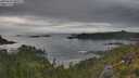 ./images/calvert/foggy-cove/20250625/foggy-cove20250625_080510M.jpg