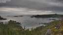 ./images/calvert/foggy-cove/20250625/foggy-cove20250625_081010M.jpg