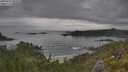 ./images/calvert/foggy-cove/20250625/foggy-cove20250625_082510M.jpg