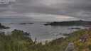 ./images/calvert/foggy-cove/20250625/foggy-cove20250625_083509M.jpg
