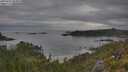 ./images/calvert/foggy-cove/20250625/foggy-cove20250625_084010M.jpg