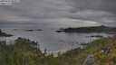./images/calvert/foggy-cove/20250625/foggy-cove20250625_084511M.jpg
