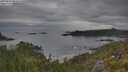./images/calvert/foggy-cove/20250625/foggy-cove20250625_085011M.jpg