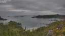 ./images/calvert/foggy-cove/20250625/foggy-cove20250625_090508M.jpg