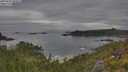 ./images/calvert/foggy-cove/20250625/foggy-cove20250625_091010M.jpg