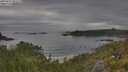./images/calvert/foggy-cove/20250625/foggy-cove20250625_091509M.jpg