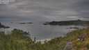 ./images/calvert/foggy-cove/20250625/foggy-cove20250625_092508M.jpg