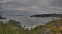./images/calvert/foggy-cove/20250625/foggy-cove20250625_093509M.jpg