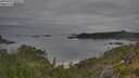 ./images/calvert/foggy-cove/20250625/foggy-cove20250625_094009M.jpg