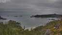 ./images/calvert/foggy-cove/20250625/foggy-cove20250625_094510M.jpg