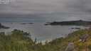 ./images/calvert/foggy-cove/20250625/foggy-cove20250625_095010M.jpg