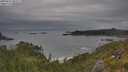 ./images/calvert/foggy-cove/20250625/foggy-cove20250625_095507M.jpg