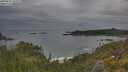 ./images/calvert/foggy-cove/20250625/foggy-cove20250625_100509M.jpg