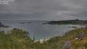 ./images/calvert/foggy-cove/20250625/foggy-cove20250625_101510M.jpg
