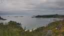 ./images/calvert/foggy-cove/20250625/foggy-cove20250625_104509M.jpg
