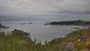 ./images/calvert/foggy-cove/20250625/foggy-cove20250625_105011M.jpg