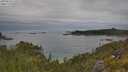 ./images/calvert/foggy-cove/20250625/foggy-cove20250625_110511M.jpg