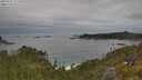 ./images/calvert/foggy-cove/20250625/foggy-cove20250625_111010M.jpg