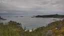 ./images/calvert/foggy-cove/20250625/foggy-cove20250625_111511M.jpg