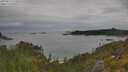 ./images/calvert/foggy-cove/20250625/foggy-cove20250625_112008M.jpg