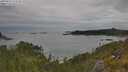 ./images/calvert/foggy-cove/20250625/foggy-cove20250625_112510M.jpg