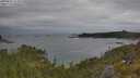 ./images/calvert/foggy-cove/20250625/foggy-cove20250625_114510M.jpg