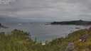 ./images/calvert/foggy-cove/20250625/foggy-cove20250625_115009M.jpg
