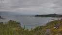 ./images/calvert/foggy-cove/20250625/foggy-cove20250625_115508M.jpg