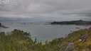 ./images/calvert/foggy-cove/20250625/foggy-cove20250625_121008M.jpg