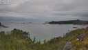 ./images/calvert/foggy-cove/20250625/foggy-cove20250625_121510M.jpg