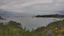 ./images/calvert/foggy-cove/20250625/foggy-cove20250625_122509M.jpg