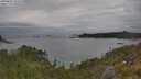 ./images/calvert/foggy-cove/20250625/foggy-cove20250625_123510M.jpg