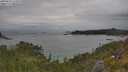 ./images/calvert/foggy-cove/20250625/foggy-cove20250625_125008M.jpg