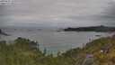 ./images/calvert/foggy-cove/20250625/foggy-cove20250625_125511M.jpg