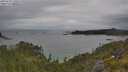 ./images/calvert/foggy-cove/20250625/foggy-cove20250625_130508M.jpg