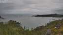 ./images/calvert/foggy-cove/20250625/foggy-cove20250625_131010M.jpg