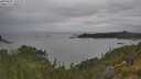 ./images/calvert/foggy-cove/20250625/foggy-cove20250625_132509M.jpg