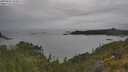 ./images/calvert/foggy-cove/20250625/foggy-cove20250625_133011M.jpg