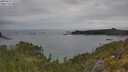 ./images/calvert/foggy-cove/20250625/foggy-cove20250625_135508M.jpg