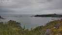 ./images/calvert/foggy-cove/20250625/foggy-cove20250625_140011M.jpg