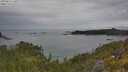 ./images/calvert/foggy-cove/20250625/foggy-cove20250625_140509M.jpg